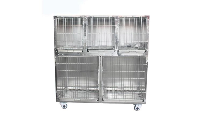 Het belang van een goede ventilatie en temperatuurregeling in een dierenarts-hondenkooi
