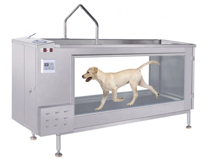 PJ-1901 CE goedgekeurde dierlijke hydro onder water loopband voor honden