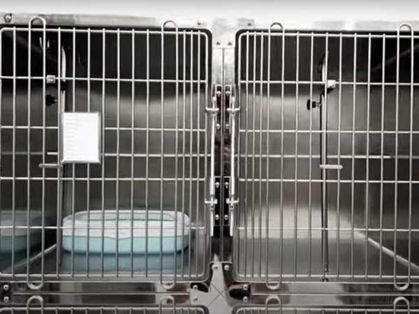 PJML-02 4 Deuren Roestvrijstalen Veterinaire Recovery Cat Cage