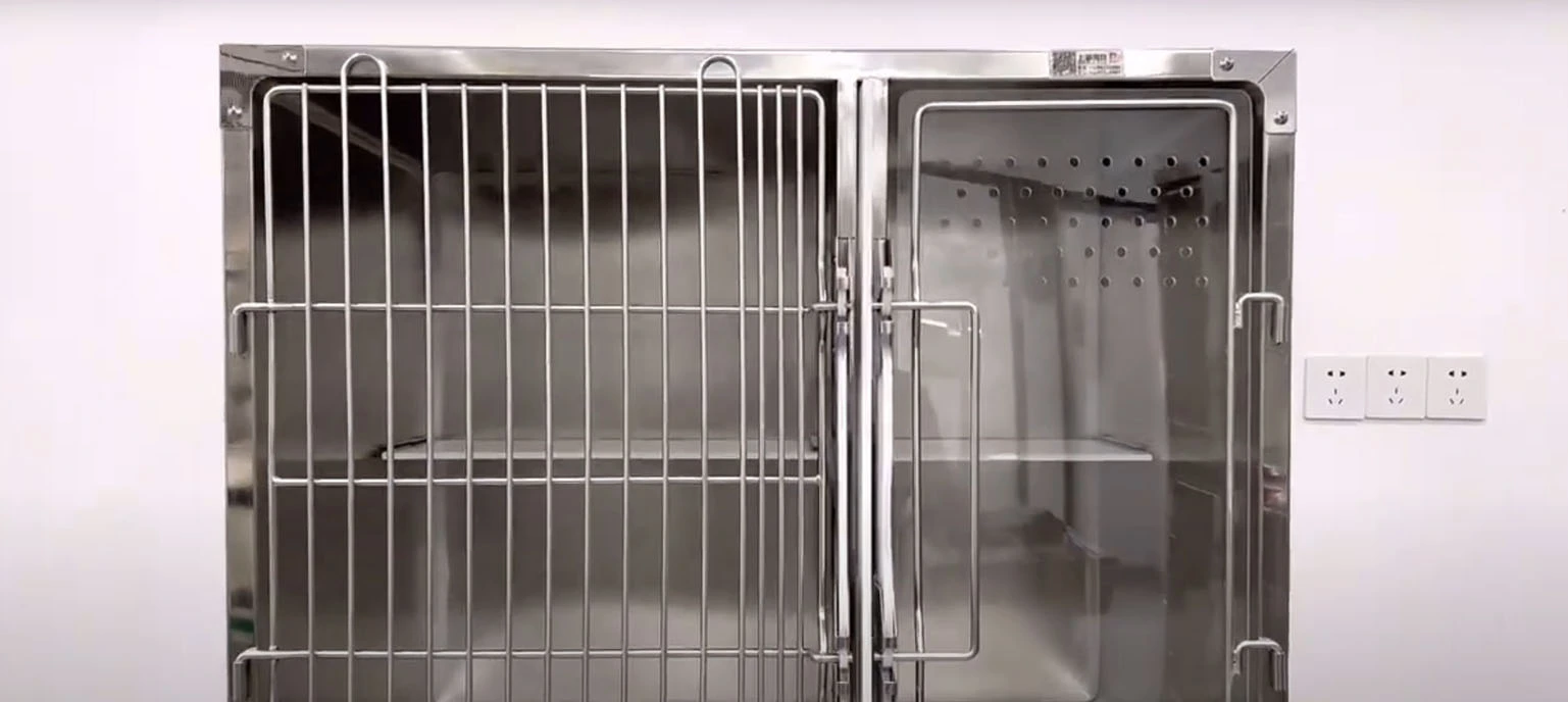 Det Cat Cage Display Video