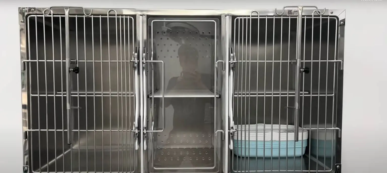 Det Cat Cage Display Video
